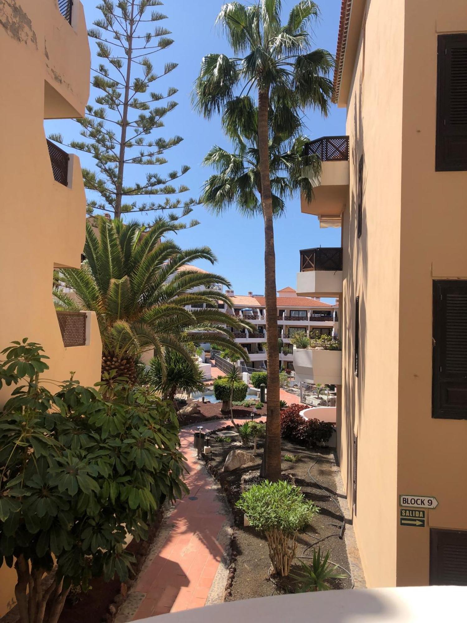 Apartamento Albatros Golf Del Sur Apt 257 Сан Мигел де Абона Екстериор снимка